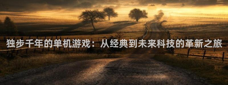 杏鑫客服个人工作总结