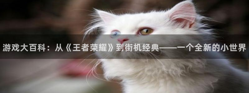 杏鑫平台官方网站