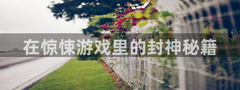 杏鑫平台线路测速