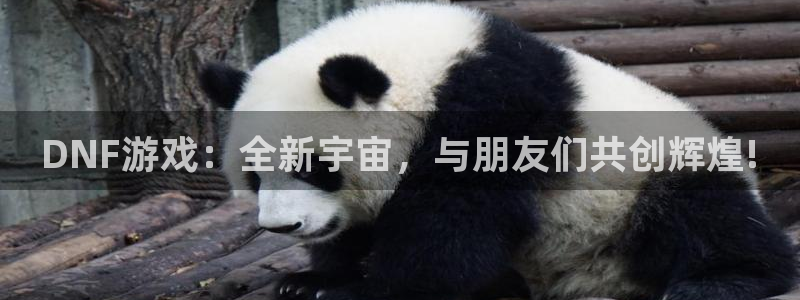 杏鑫平台总代理电话：DNF游戏：全新宇宙，与朋友们共创辉煌!