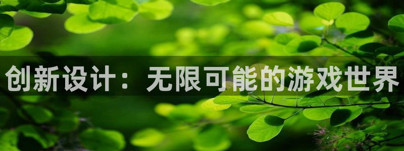 杏鑫总代理