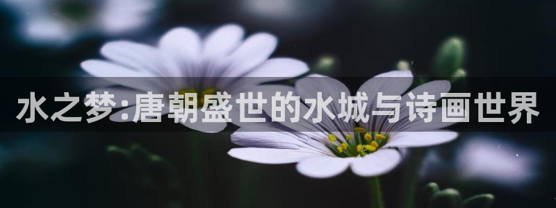 杏鑫,杏鑫注册,杏鑫登录