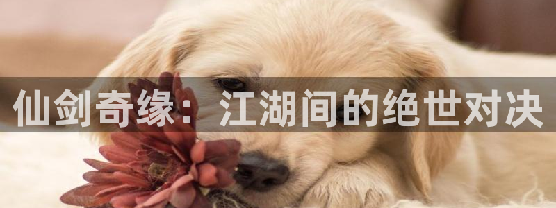 杏鑫注册登录代理公司