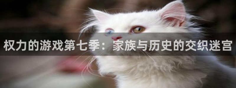 杏鑫平台注册入口：权力的游戏第七季：家族与历史的交织迷宫