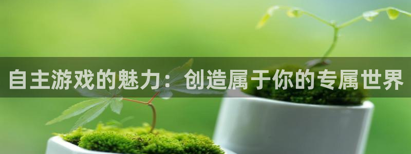 杏鑫注册登陆：自主游戏的魅力：创造属于你的专属世界