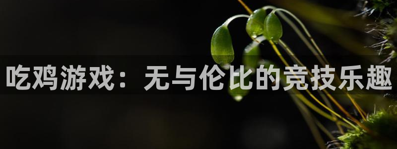 杏鑫手机客户端官网：吃鸡游戏：无与伦比的竞技乐趣