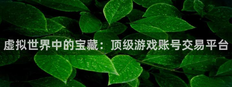 杏鑫招商总代：虚拟世界中的宝藏：顶级游戏账号交易平台