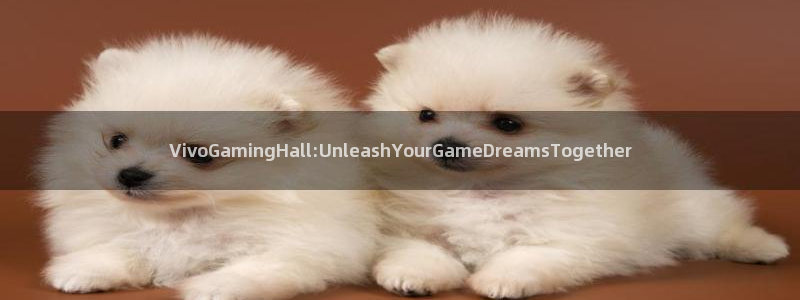 杏鑫平台登陆：VivoGamingHall:UnleashY