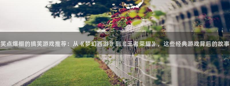 杏鑫注册平台怎么样：笑点爆棚的搞笑游戏推荐：从《梦幻西游》到