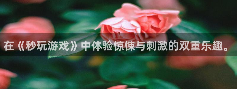 杏鑫注册平台怎么样啊：在《秒玩游戏》中体验惊悚与刺激的双重乐