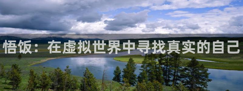 杏鑫平台直属哪个公司