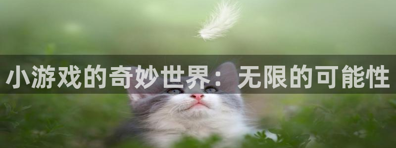 杏鑫平台直属：小游戏的奇妙世界：无限的可能性