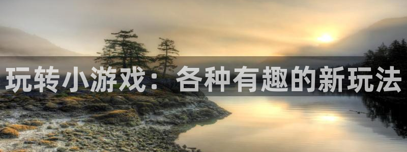 杏鑫客服人员扣费原因及解决方法：玩转小游戏：各种有趣的新玩法