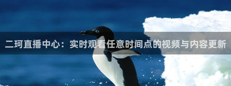 飞速直播nba直播无插件：二珂直播中心：实时观看任意时间点的视频与内容更新
