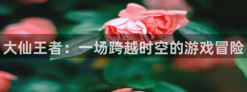 飞速直播吧jrs低调看直播nba：大仙王者：一场跨越时空的游戏冒险