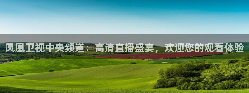 飞速直播体育在线直播nba：凤凰卫视中央频道：高清直播盛宴，欢迎您的观看体验