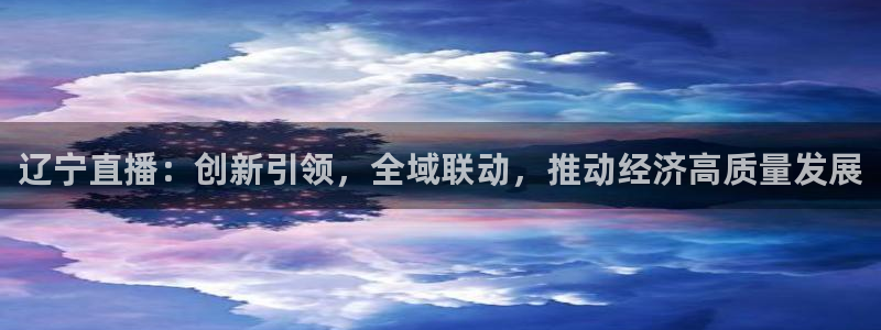 飞速nba直播：辽宁直播：创新引领，全域联动，推动经济高质量发展