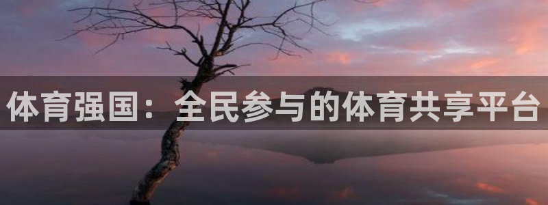 飞速直播体育在线直播nba：体育强国：全民参与的体育共享平台