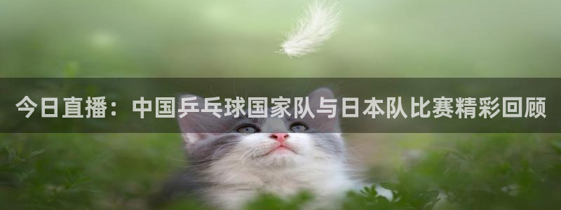 极速飞速体育直播吧体育直播：今日直播：中国乒乓球国家队与日本队比赛精彩回顾