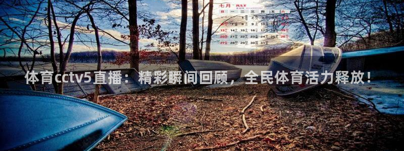 飞速直播体育在线：体育cctv5直播：精彩瞬间回顾，全民体育活力释放！