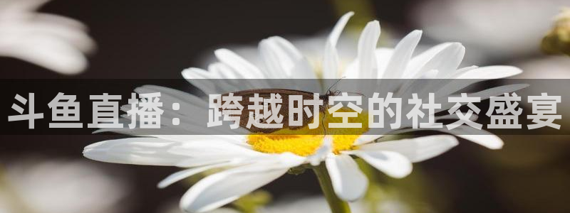 nba无插件飞速直播：斗鱼直播：跨越时空的社交盛宴