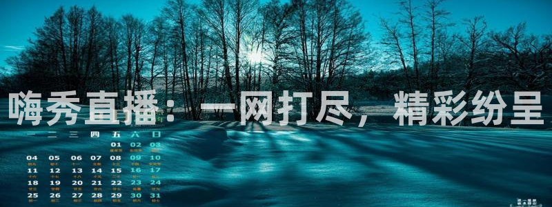 飞速免费直播nba：嗨秀直播：一网打尽，精彩纷呈